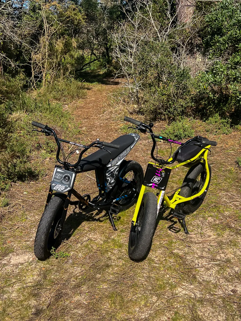 Duo de vélos électriques Ruff Cycles sur un sentier forestier dans les Landes